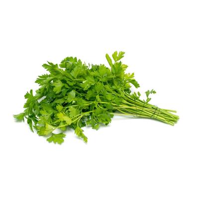 Coriander