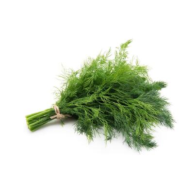 Dill  Fresh Bunch