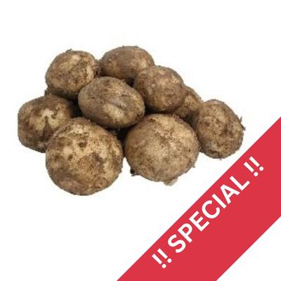 Potato Loose Brushed 500g