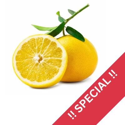Grapefruit Yellow Large
