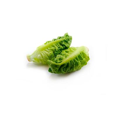 Lettuce - Baby Cos
