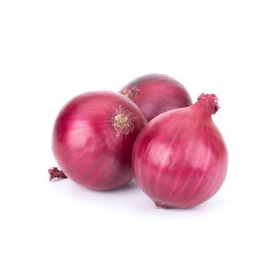 Onion - Salad Each