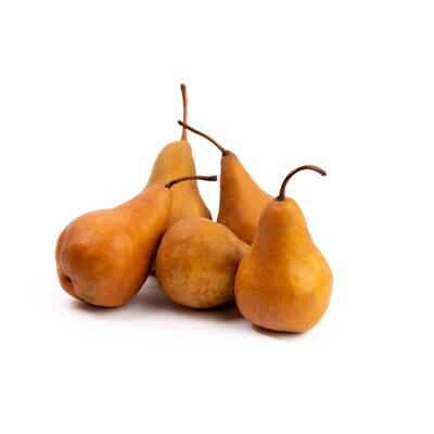 Pears Bosc