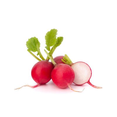 Radish