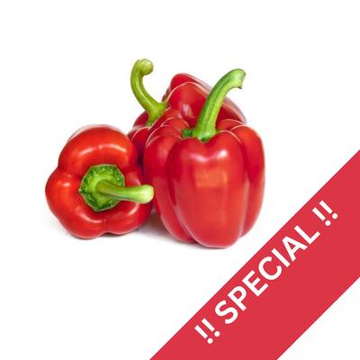 Capsicum - Red Each