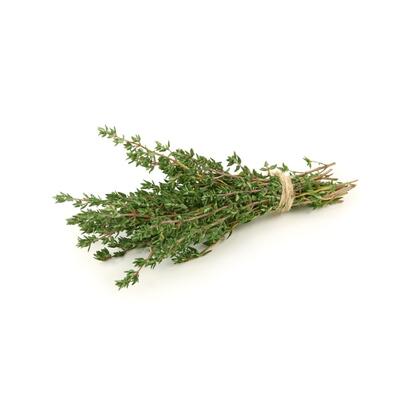 Thyme