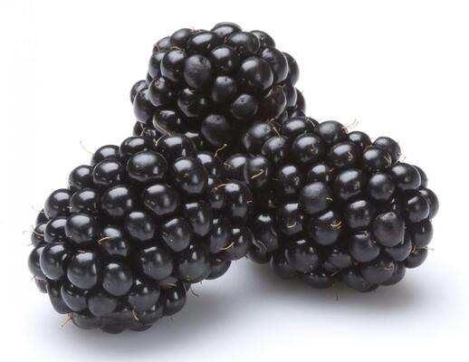 Blackberry Punnet