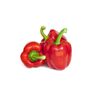 Capsicum - Red Each