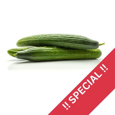 Cucumber - Continental Large
