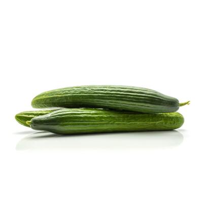 Cucumber - Continental Large