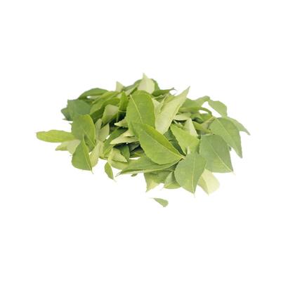 Curry Leaves