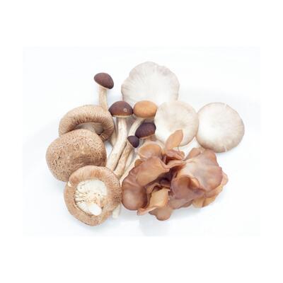 Mushroom Mixed