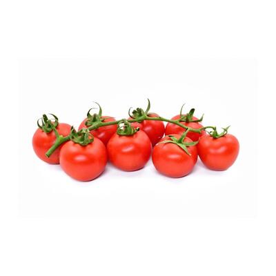 Tomato - Truss Gourmet Each